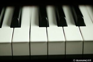 鋼琴 黑白鍵間的永恒樂(lè)章